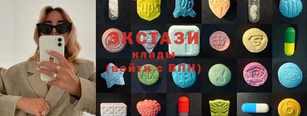крисы Няндома