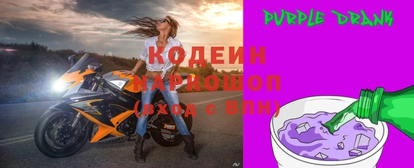 индика Новодвинск