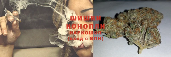индика Новодвинск