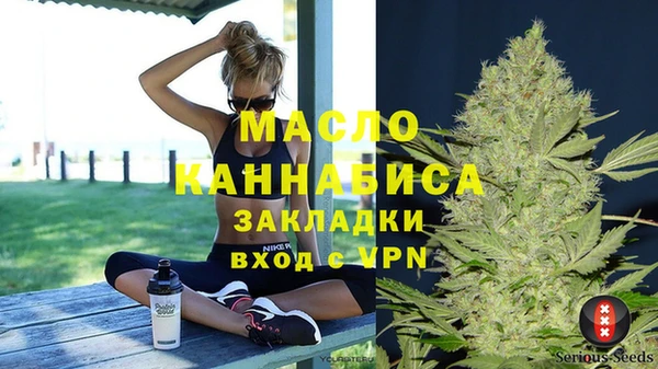 индика Новодвинск