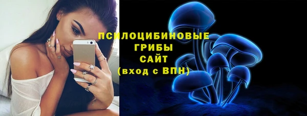 крисы Няндома