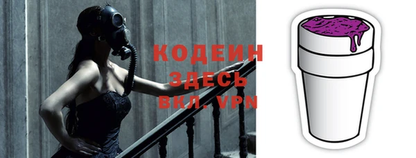 крисы Няндома