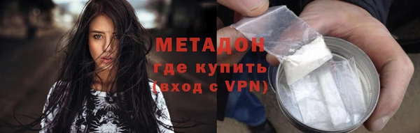 индика Новодвинск