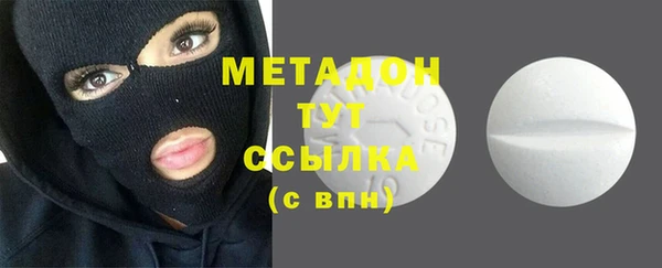 индика Новодвинск