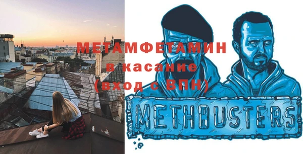 индика Новодвинск