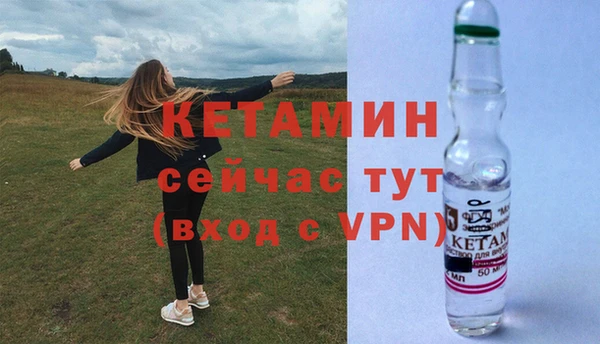 сатива Вязьма