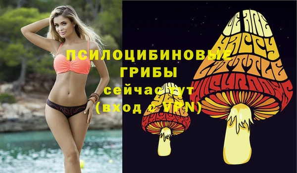 первитин Новокубанск