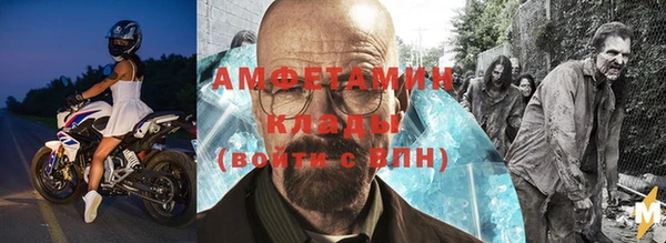 индика Новодвинск