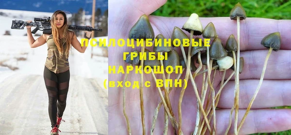дурь Нязепетровск
