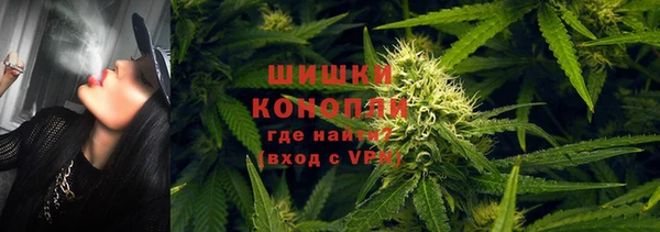 крисы Няндома
