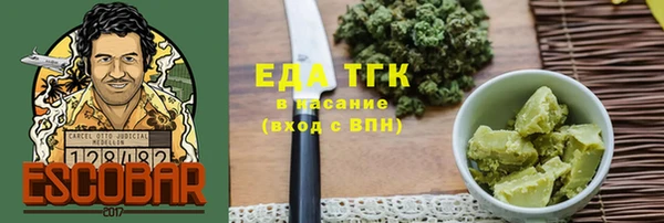 индика Новодвинск