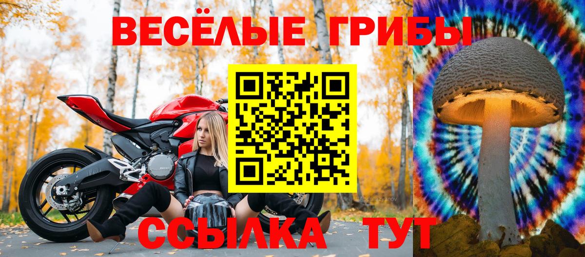 Галлюциногенные грибы мухоморы  Вход с VPN  купить  сайты  Североморск 