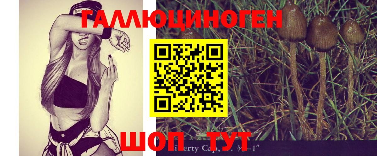 Псилоцибиновые грибы Psilocybe Североморск